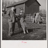 Spectators at the Point to Point Cup race of the Maryland Hunt Club. Worthington Valley near Glyndon, Maryland.
