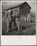 Spectators at the Point to Point Cup race of the Maryland Hunt Club. Worthington Valley near Glyndon, Maryland.