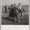 Spectators at the Point to Point Cup race of the Maryland Hunt Club. Worthington Valley near Glyndon, Maryland.