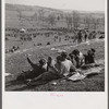 Spectators picnicking before the Point to Point Cup race of the Maryland Hunt Club. Worthington Valley, near Glyndon, Maryland.