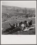 Spectators picnicking before the Point to Point Cup race of the Maryland Hunt Club. Worthington Valley, near Glyndon, Maryland.