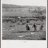 Spectators at the Point to Point Cup race of the Maryland Hunt Club. Worthington Valley, near Glyndon, Maryland.