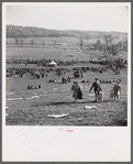 Spectators at the Point to Point Cup race of the Maryland Hunt Club. Worthington Valley, near Glyndon, Maryland.