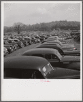 Parked cars for spectators. Point-to-Point Cup Horse race. Worthington Valley, near Glyndon, Maryland.