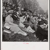 Spectators at the Point to Point Cup race of the Maryland Hunt Club. Worthington Valley, near Glyndon, Maryland.