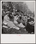 Spectators at the Point to Point Cup race of the Maryland Hunt Club. Worthington Valley, near Glyndon, Maryland.