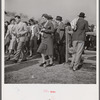 Spectators at the Point-to-Point Cup race of the Maryland Hunt Club. Worthington Valley, near Glyndon, Maryland.