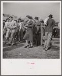 Spectators at the Point-to-Point Cup race of the Maryland Hunt Club. Worthington Valley, near Glyndon, Maryland.