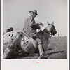 Judge at horse race. Warrenton, Virginia.