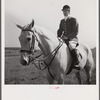 Outrider at Point-to-Point Maryland Hunt Club races. Worthington Valley, near Glyndon, Maryland.