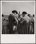 Looking at the gold cup. Horse races at Warrenton, Virginia.