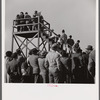 Spectators at horse races. Warrenton, Virginia.