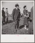 Spectators at horse races. Warrenton, Virginia.