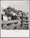 Spectators at paddock fence between races. Warrenton, Virginia.