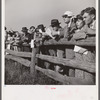 Spectators at paddock fence between races. Warrenton, Virginia.