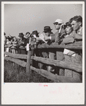 Spectators at paddock fence between races. Warrenton, Virginia.