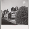 Spectators at horse races. Warrenton, Virginia.