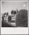 Spectators at horse races. Warrenton, Virginia.