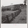 Spectators at horse races. Warrenton, Virginia.