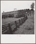 Spectators at horse races. Warrenton, Virginia.