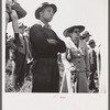 Spectators at horse races. Warrenton, Virginia.