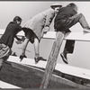 Spectators at horse races. Warrenton. Virginia.