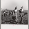 Spectators at horse races. Warrenton, Virginia.