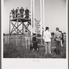 Spectators at horse races. Warrenton, Virginia.