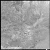 Trees and stream (near Jacob's Pillow?)