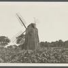 Gardiner's Windmill. East side Main Street, south of Gardiner's House of street leeding to Maidstone Inn. East Hampton, East Hampton
