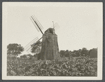 Gardiner's Windmill. East side Main Street, south of Gardiner's House of street leeding to Maidstone Inn. East Hampton, East Hampton