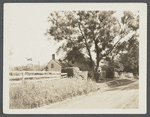 Former millhouse of Gardiner's windmill. Was a manicuring place. David Gardiner owner 1923. East side Main Street, south of road leading to Maidstone Inn. East Hampton, East Hampton