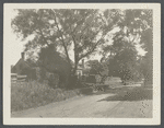 Former millhouse of Gardiner's windmill. Was a manicuring place. David Gardiner owner 1923. East side Main Street, south of road leading to Maidstone Inn. East Hampton, East Hampton
