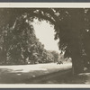 Photo of Main Street, looking south. East Hampton, East Hampton