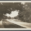 Photo of Main Street, looking north. East Hampton, East Hampton
