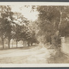 Town Pond. East side Main Street. East Hampton, East Hampton