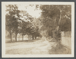 Town Pond. East side Main Street. East Hampton, East Hampton