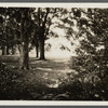 Photo of Rensselaer nmsion property. Windmill in rear of Van Rensselaer grounds. West side Main Street. East Hampton, East Hampton