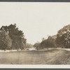View. West side Main Street, looking south. East Hampton, East Hampton