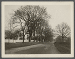 View. West side Main Street. East Hampton, East Hampton