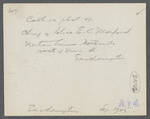 Horse on E.C. Morford's lot. North side Newton's Lane, west of Main Street. East Hampton, East Hampton