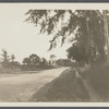 Hook Mill. Charles Hedges and Downing ran this mill. North Main Street, junction of Amagansett Road and Three Mile Harbor. East Hampton, East Hampton