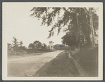 Hook Mill. Charles Hedges and Downing ran this mill. North Main Street, junction of Amagansett Road and Three Mile Harbor. East Hampton, East Hampton