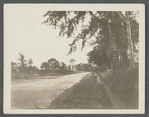 Hook Mill. Charles Hedges and Downing ran this mill. North Main Street, junction of Amagansett Road and Three Mile Harbor. East Hampton, East Hampton