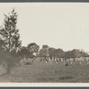 Hook Mill. Charles Hedges and Downing ran this mill. North Main Street, junction of Amagansett Road and Three Mile Harbor. Cemetery adjacent. East Hampton, East Hampton