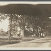 Dewitt C. Talmage house. South of railroad tracks and south of Dan Talmage house (brother). West side of North Main Street. East Hampton, East Hampton