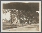 Dewitt C. Talmage house. South of railroad tracks and south of Dan Talmage house (brother). West side of North Main Street. East Hampton, East Hampton