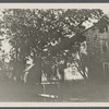 Old Downing house. West side of North Main Street. East Hampton, East Hampton
