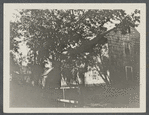 Old Downing house. West side of North Main Street. East Hampton, East Hampton