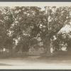 Old Downing house. West side of North Main Street. East Hampton, East Hampton